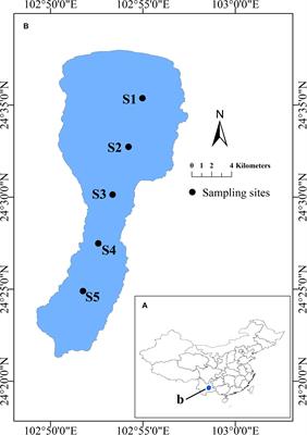 The Community Structure of Picophytoplankton in Lake Fuxian, a Deep and Oligotrophic Mountain Lake